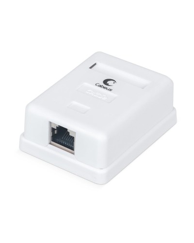 WS-8P8C-Cat.5e-SH-1 (7485c): Розетка RJ-45 в Первоуральске