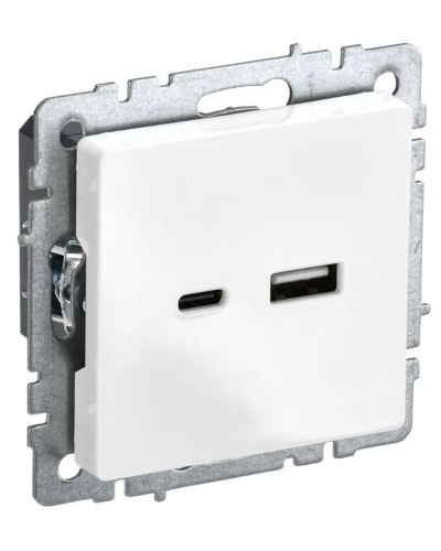 Розетка USB A+C 18Вт РЮ11-1-БрБ белый BRITE (BR-U22-018-K01). Розетка USB. IEK в Первоуральске