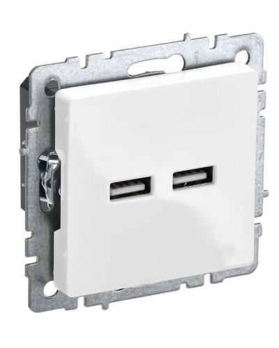 Розетка USB A+A 3,1А РЮ10-1-БрБ белый BRITE (BR-U21-D31-K01). Розетка USB. IEK в Первоуральске