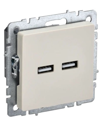 Розетка USB A+A 3,1А РЮ10-1-БрКр бежевый BRITE (BR-U21-D31-K10). Розетка USB. IEK в Первоуральске
