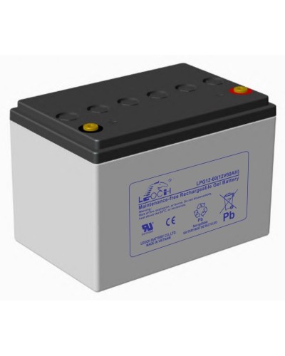 LEOCH LPG 12-60. Аккумулятор герметичный свинцово-кислотный. LEOCH в Первоуральске